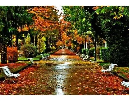 Appartamento El Collado 17 *