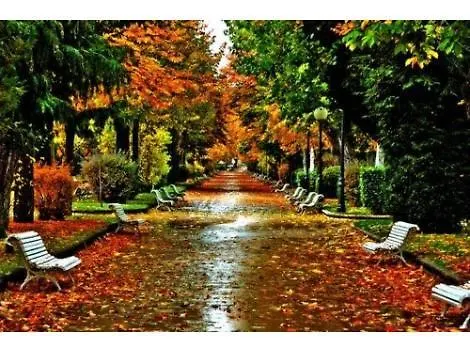 Appartement El Collado 17 *